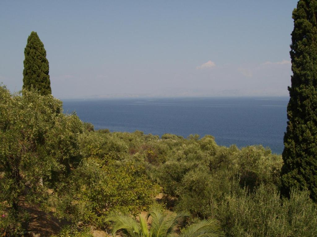 Apartment Spiros Benitses (Corfu)